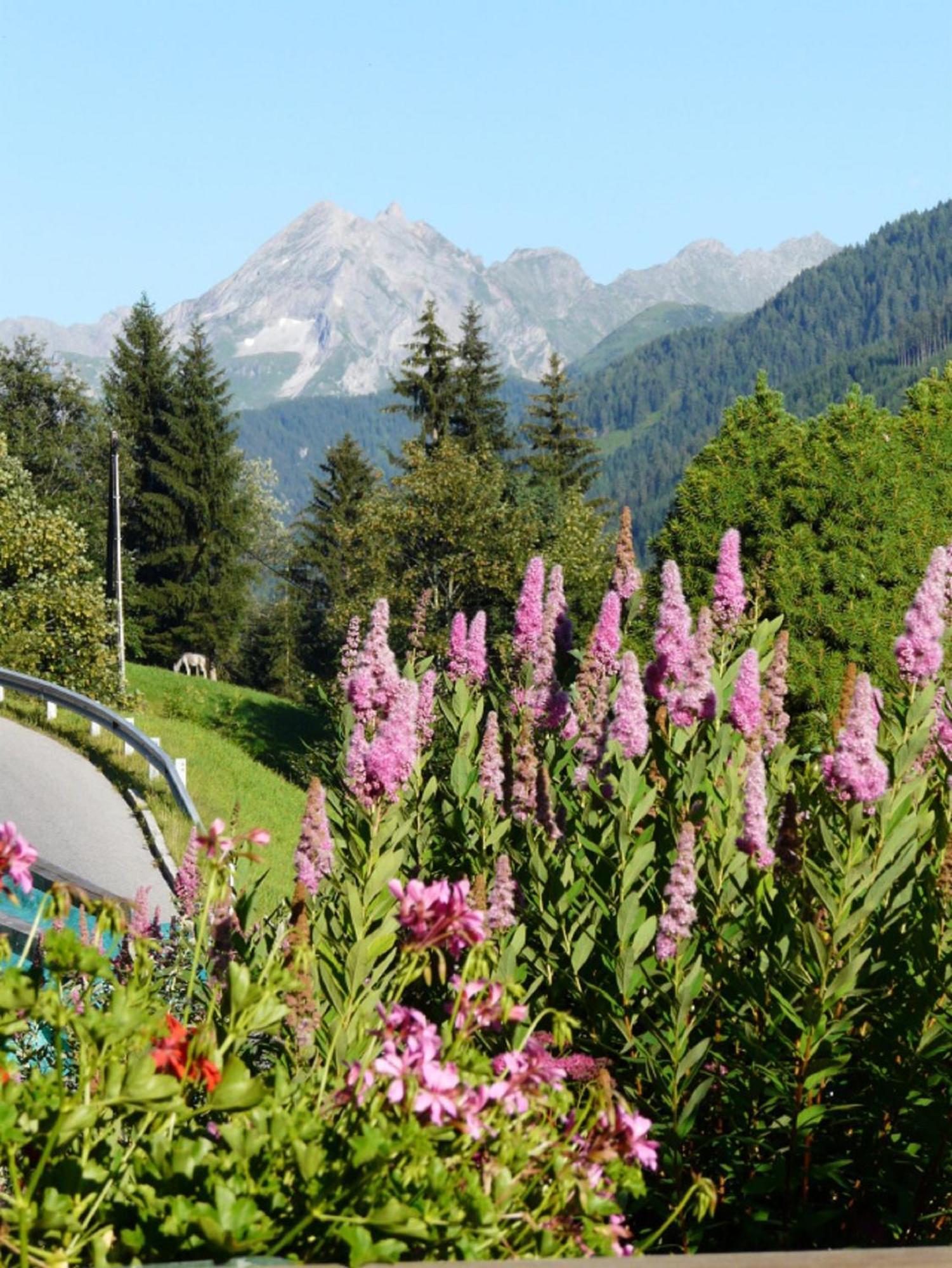 Haus Kammerland Zell am Ziller Extérieur photo